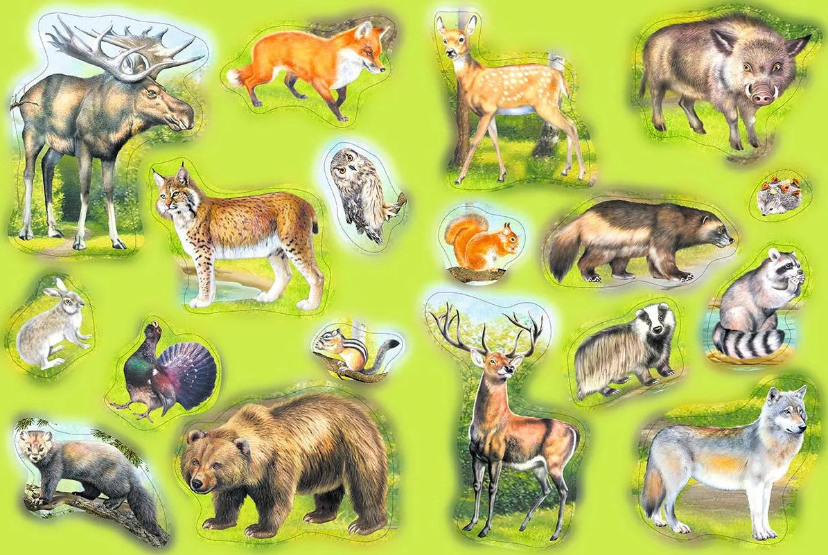 Тигр волк лиса: найдено 89 изображений